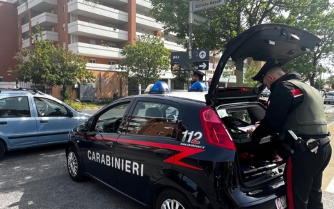Ossa ritrovate in una zona carsica, indagano i carabinieri