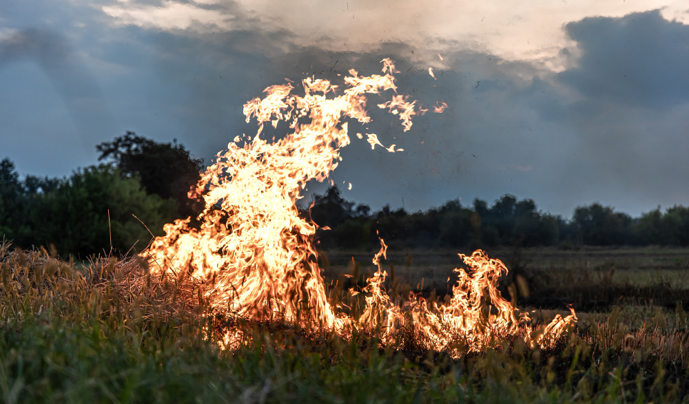 Bisarca in fiamme, A1 chiusa nei due sensi