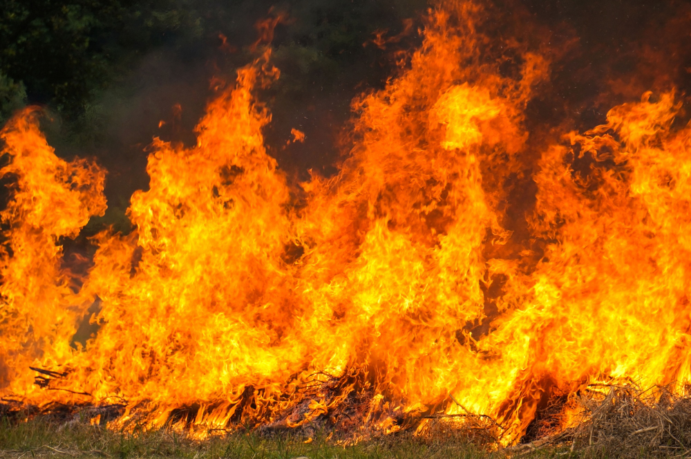 Donna salvata dai vigili del fuoco dopo un incendio