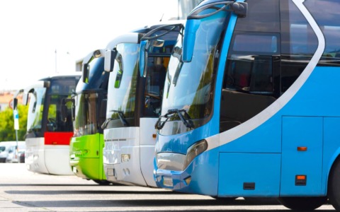 Linea 449, un bus ogni ora tra San Giorgio e Bentivoglio